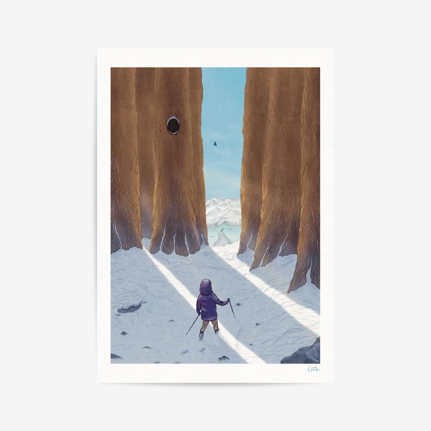 Illustration-La-marche-polaire